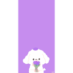 단이 랜드Dani land단둥이 랜드