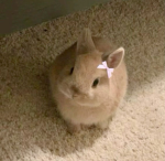 !cutesy