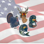Freedom Hangout