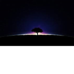 Midnight Simulations