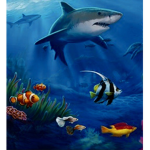 Shark and ocean group