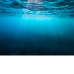 Ocean expedition