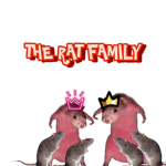 THE RAT FAMILYY