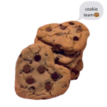 .roblx cookie.