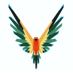 official team logang