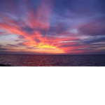 realy boui