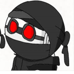 The Shadow Ninja Raiders