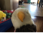 shy Griffin
