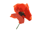 The Poppy Theatre