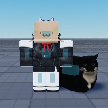 Animation Testing