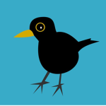 BlackBird Entertainment