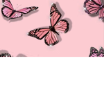 Buterflylol