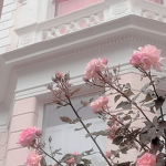 Florist shop