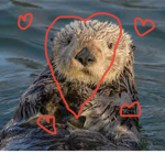 Otters are awesome!