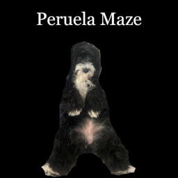 Peruela Maze