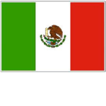 Mexican Burrito