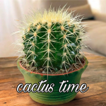 cactus time