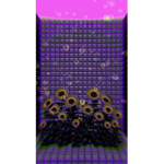 XxLonley FlowersxX