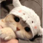 !angel