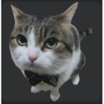 Roblox WithWolfy