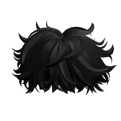 Black Fluffy Messy Hair