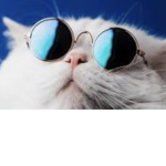 Very cool Mad lads
