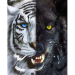 Tiger with wolf