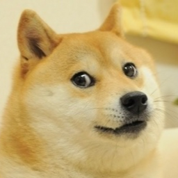 Can You Survive The Killer Doge?