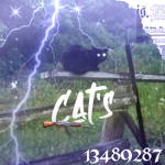 Gat's :3