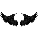 Black Angel Wings