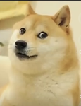 G E M E R