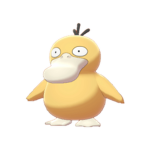The Duckyee Fan Club