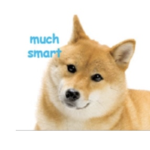 Shiba inu fan group!
