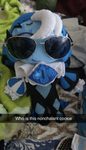 Maescommunity