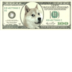 Doge Bux Management