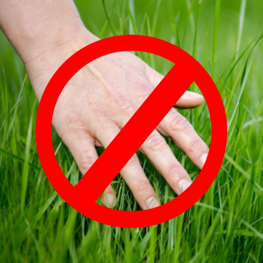 Don't Touch Grass