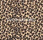 *Lulu’s apparel*