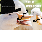 PhatDucks4Life