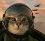 ninja_cat