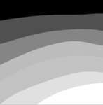 The shadowy head