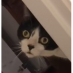 【F】【r】【i】【e】【n】【d】【s】