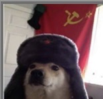 Doge Union main group