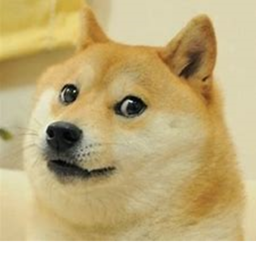 Dogee