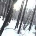 veinsrotting