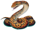 The snake's