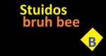 Bruh bee studios
