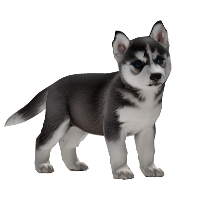 Carry a Siberian Husky Puppy Roblox item