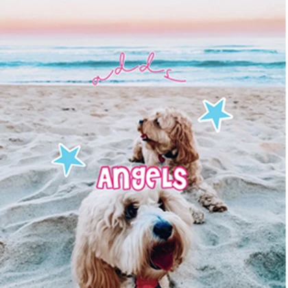 adds angels! <3 Roblox group icon