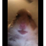 Eggsinham829
