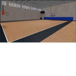 Fitness Gram Pacer Test Fan Group